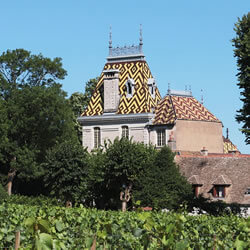 Burgundy wine tour