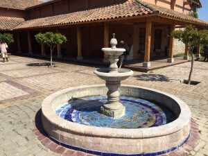 Casa Marin Fountain Chile Wine Tour