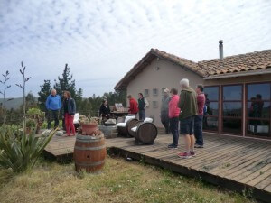 Casa Marin hillside visit Chile Wine Tour