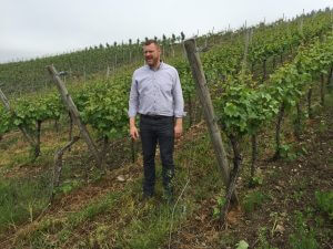 German Wine Tour Axel Pauly in the vineyard