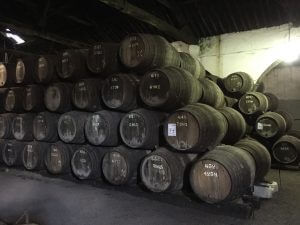 Portugal Wine Tour Taylors Port barrels