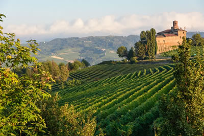 Piedmont Wine Tour Langhe near Barolo