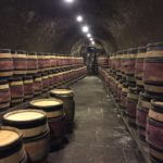 burgundy-wine-tour-2016-barrels-at-domaine-chanson