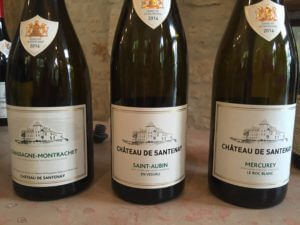 burgundy-wine-tour-2016-chateau-de-santenay-wines