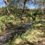 Constantin Gofas stream