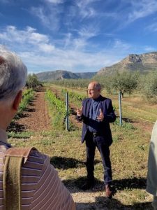 Kyriakos Koroniotis in the vineyard