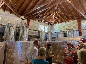 In the Winery at Tetramythos