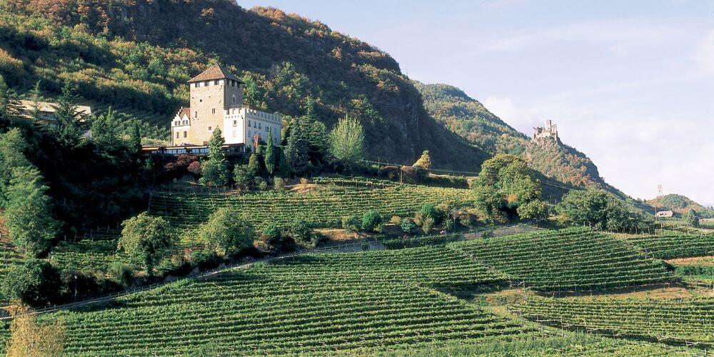 Alsace & Baden Wine Tour