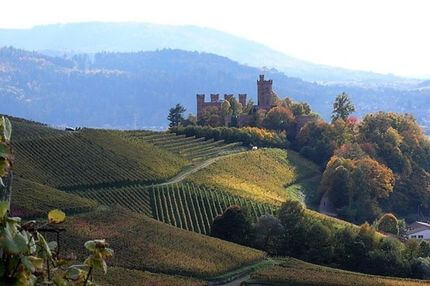 Alsace and Baden Wine Tour