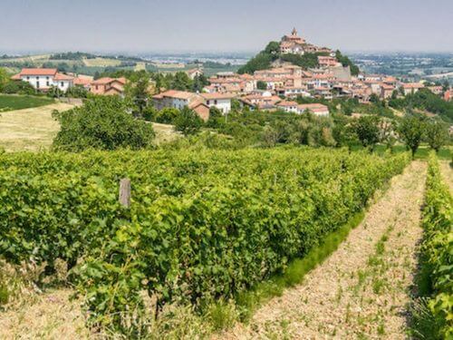 Piedmont Wine Tour Sarrezzano near Tortona