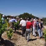 Rhone Valley Tour Domaine de Morchon vineyard visit