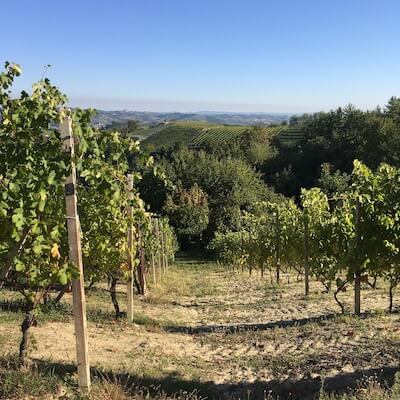 Piedmont-Wine-Tour-2017