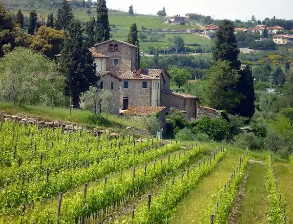 Tuscany Wine Tour 2005 Fontodi