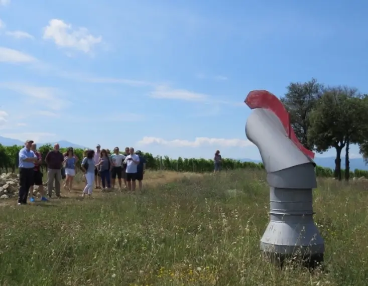 Tuscany Wine Tour Montalcino 2015 San Polo visit
