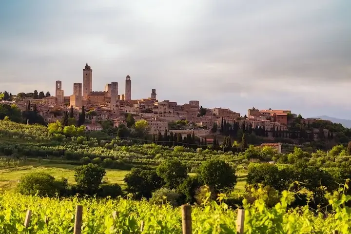 Tuscany Wine Tour San Gimignano