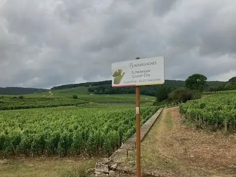 Burgundy Wine Tour Chambolle-Musigny