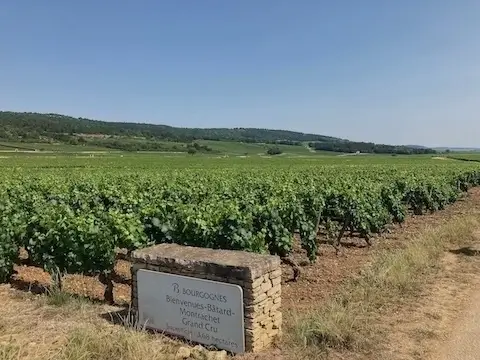 Burgundy Wine Tour Chassange-Montrachet