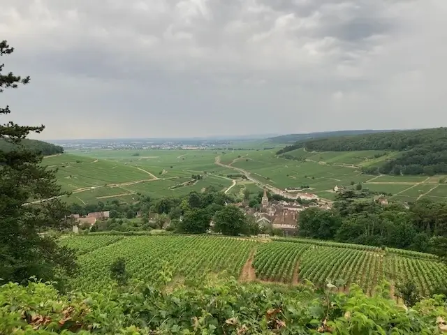 Burgundy Wine Tour Pernand-Vergelesses 2